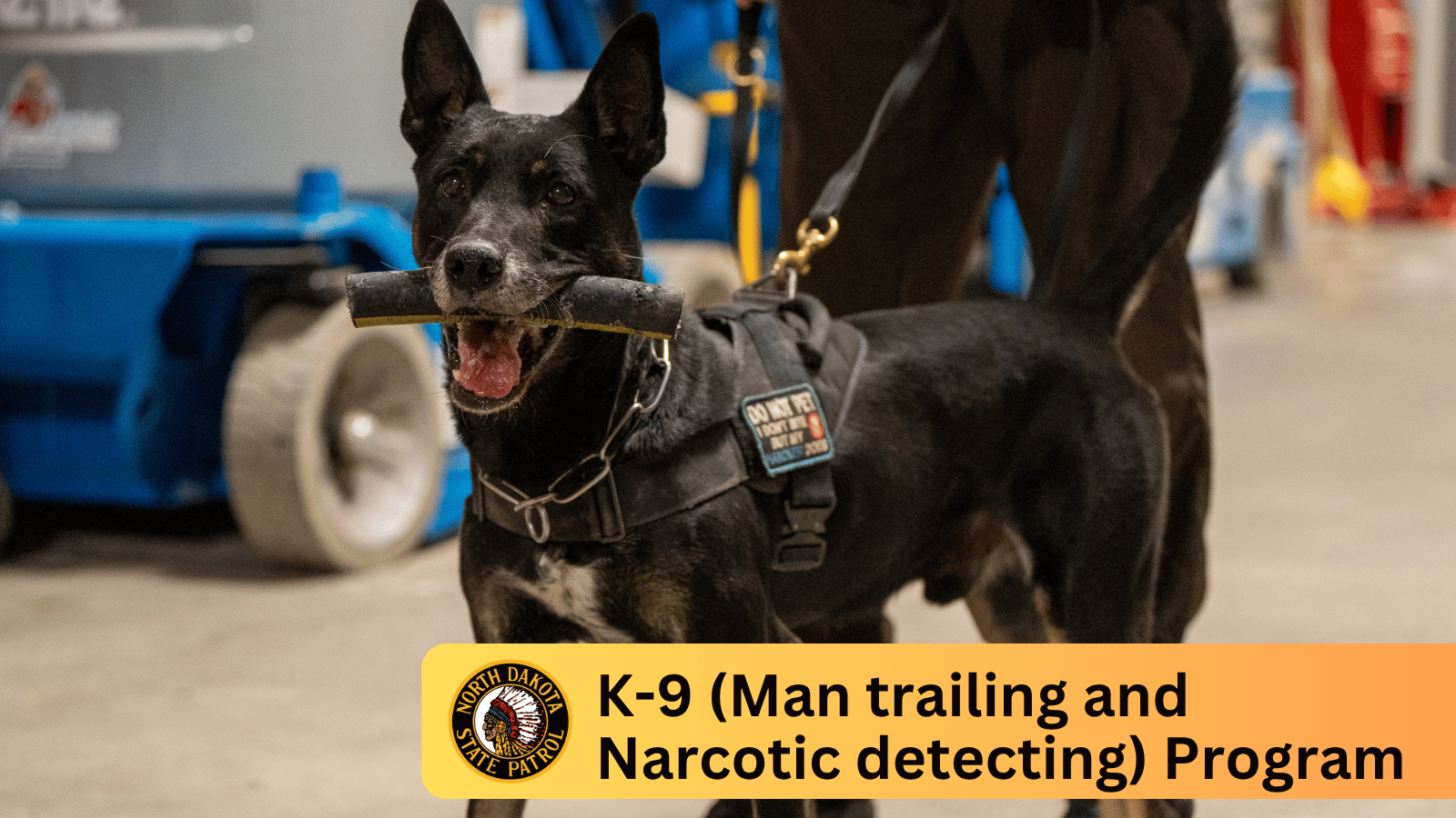 Agency K9 with toy in his mouth